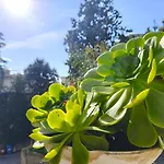 Alishome, Appartement San Remo