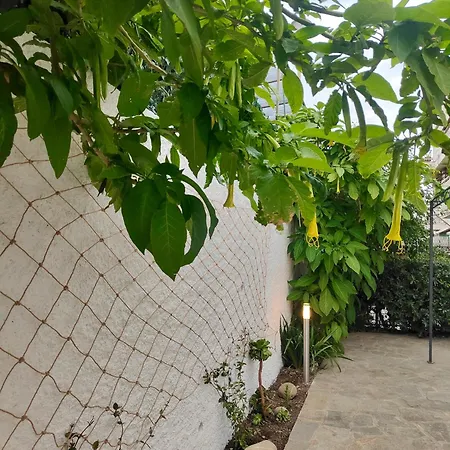 Apartamento Alishome,