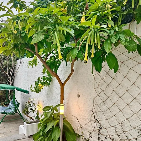 Alishome, Апартаменты *