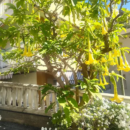 Alishome, Elegante Trilocale Con Vista Mare E Giardino Appartamento *
