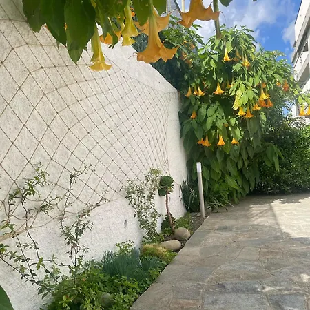 Alishome, Elegante Trilocale Con Vista Mare E Giardino Apartment Sanremo