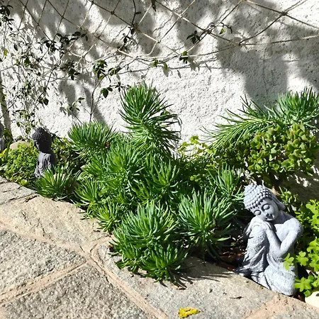 Апартаменты Alishome, *