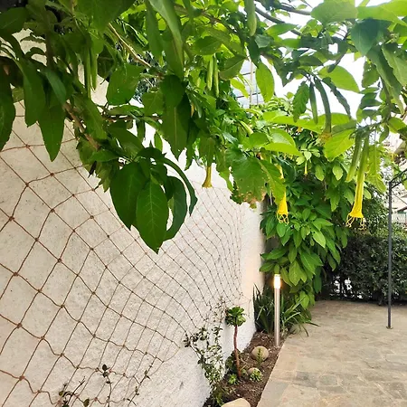 Appartement Alishome,