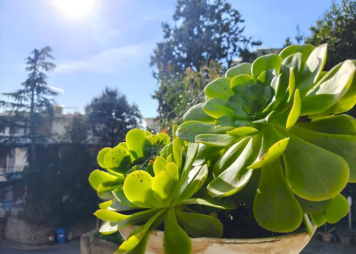 Alishome, شقة سانريمو