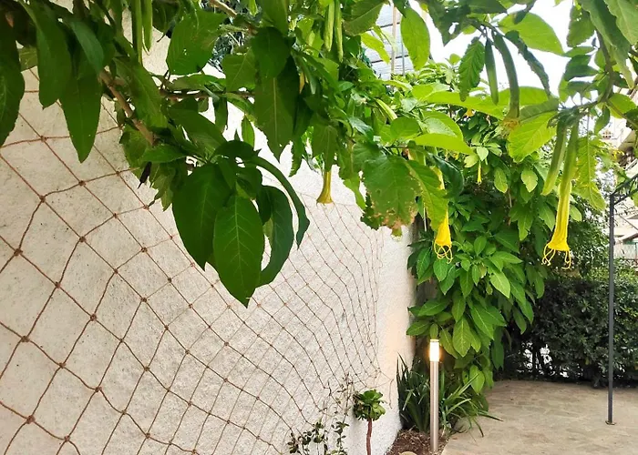 Апартаменты Alishome,